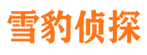 珙县市私家侦探